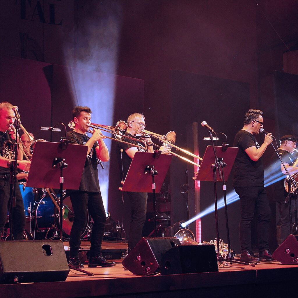 Retrato de The Sir Aligator’s Company